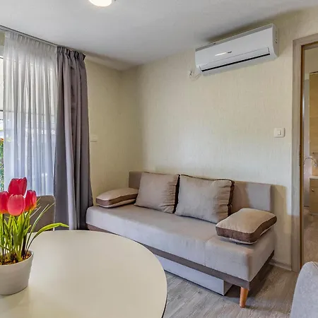 Mobile Luxury Premium-7 By Interhome * Pula