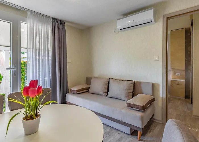 Mobile Luxury Premium-7 By Interhome * Pula