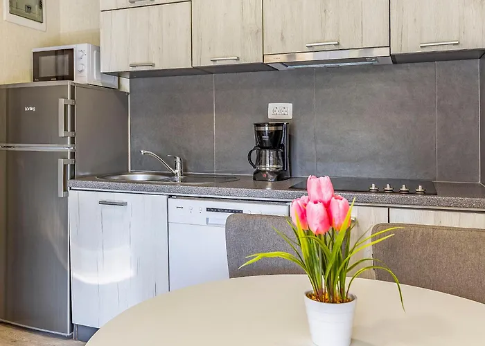 Mobile Luxury Premium-7 By Interhome * Pula